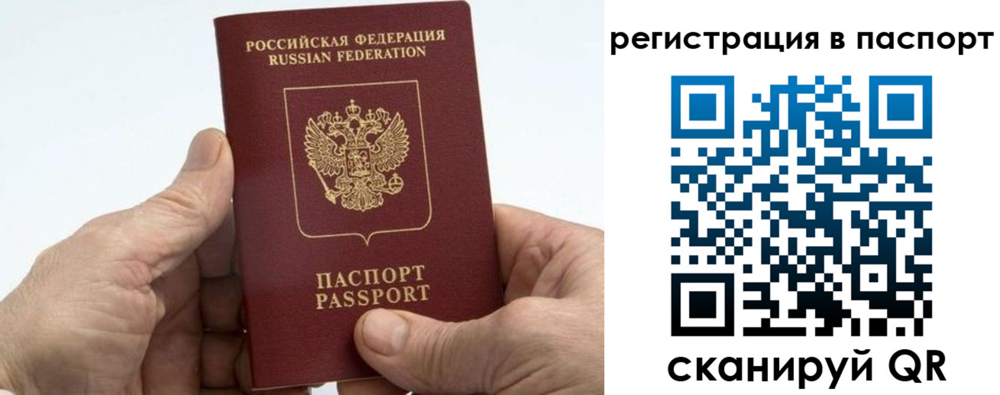 купить прописку в Зернограде